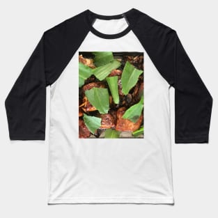 Honey ribs with fresh culantro herb on top Baseball T-Shirt